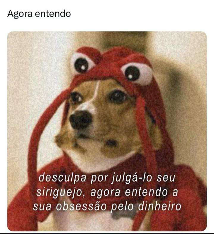 Meme com uma legenda no topo que diz "Agora entendo". Abaixo, uma imagem de um cachorro caramelo usando uma fantasia vermelha de lagosta e outra legenda dizendo "desculpa por julgá-lo seu sirigueijo, agora eu entendo a sua obsessão pelo dinheiro"