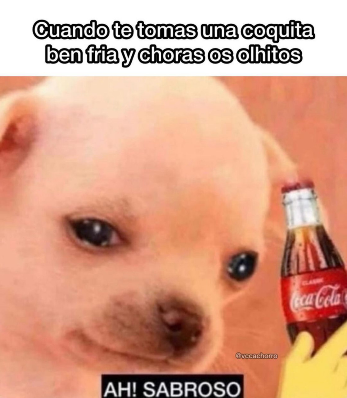 Meme colorido. A legenda no topo diz "Cuando te tomas una coquita ben fria y choras os olhitos". Logo abaixo, há uma foto de um cachorro filhote com lágrimas nos olhos. Uma mão amarela de emoji segura uma garrafa de vidro de coca-cola. Abaixo, uma legenda representando a fala do cachorro: "Ah! Sabroso"